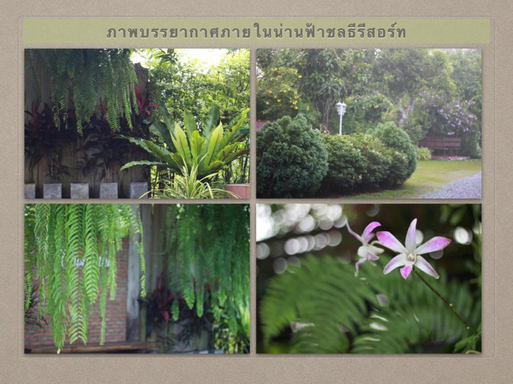 น่านฟ้าชลธีรีสอร์ท Nanfachonlathi Resort Exterior foto